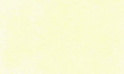 Decorazza STUCCO VENEZIANO / Цвет #SV  10-08